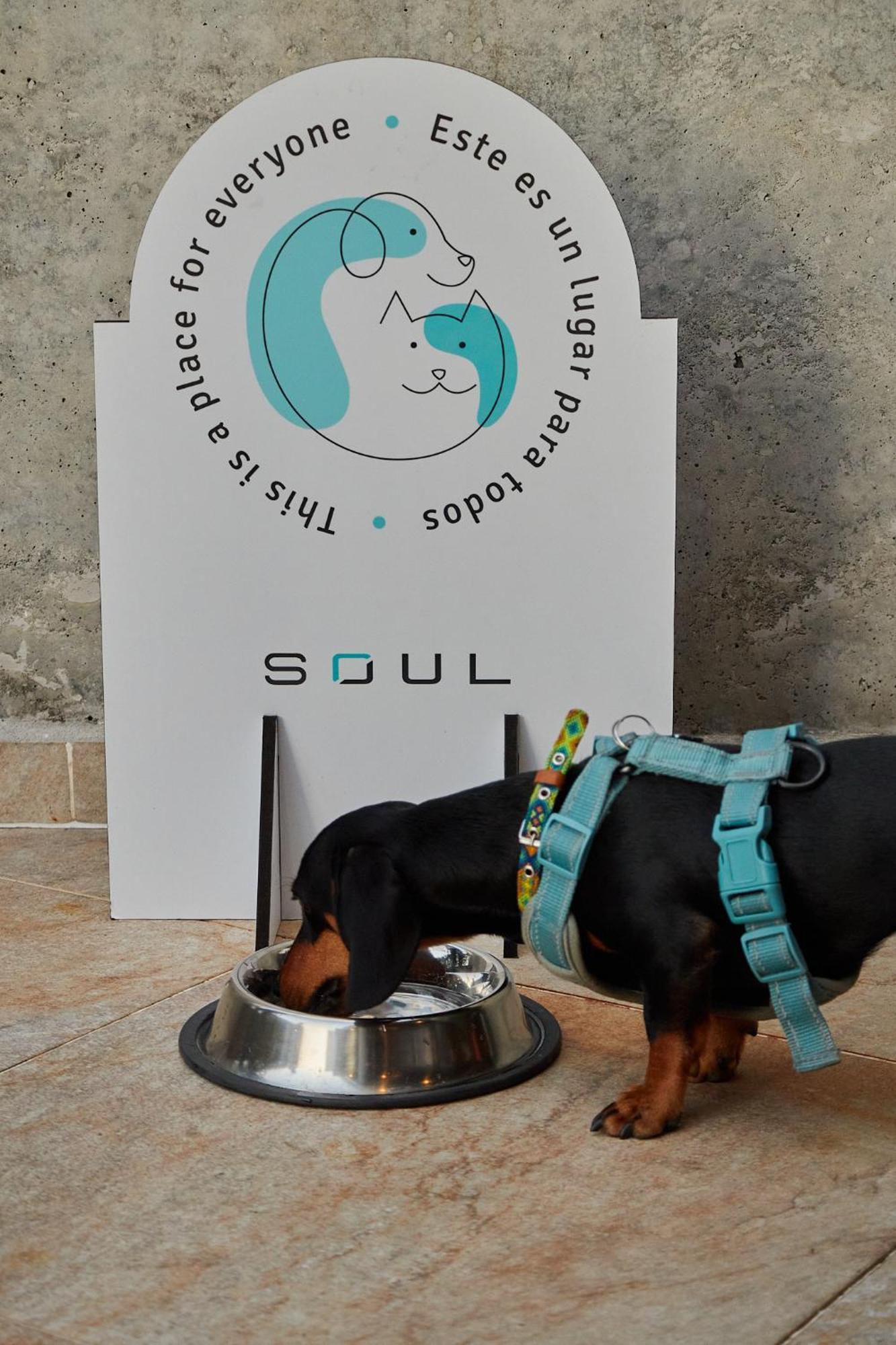 Soul Lifestyle Hotel ميديلين المظهر الخارجي الصورة